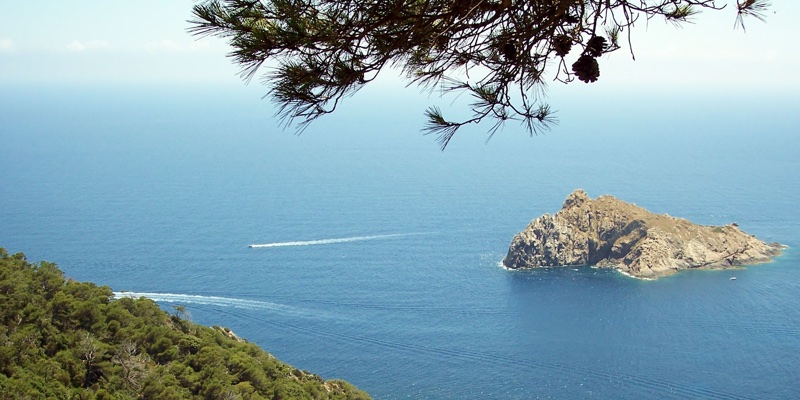 Le Parc national de Port-Cros et BSB Marine développent une IA pour la préservation des aires marines protégées