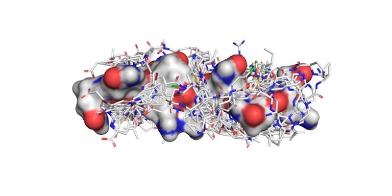 Chemotargets élabore une plateforme afin de trouver un traitement contre la maladie de Huntington