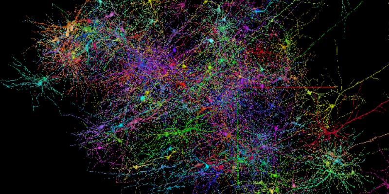 Google AI et l'Université de Harvard cartographient une partie du cortex cérébral en trois dimensions