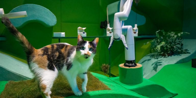 Cat Royale : laisseriez-vous un robot s’occuper de votre animal de compagnie ?